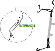 INTFRADIS 10250